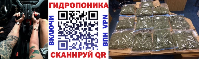 Где купить Салехард Галлюциногенные грибы АМФ Меф мяу мяу Канабис Гашиш