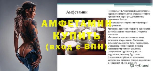 индика Алзамай