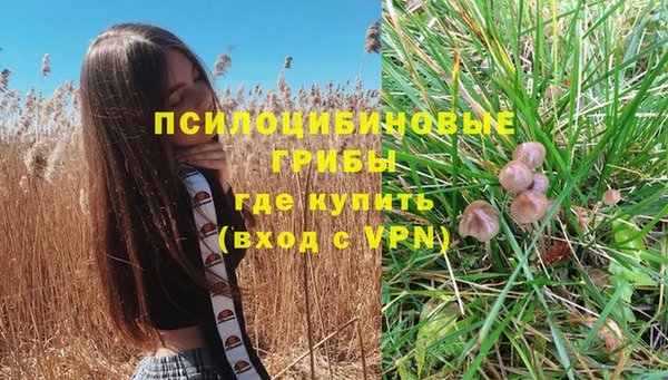 молекула духа Алексеевка