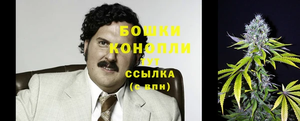молекула духа Алексеевка