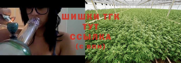 молекула духа Алексеевка
