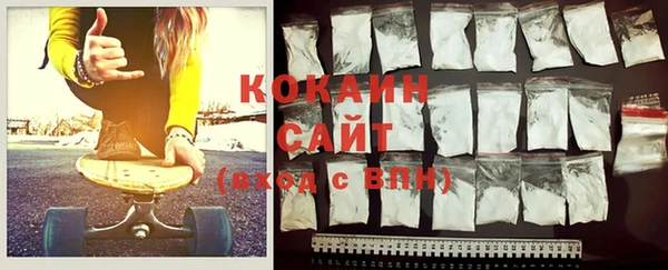индика Алзамай