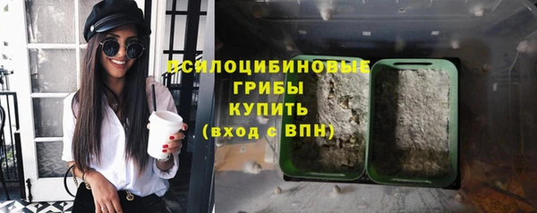 молекула духа Алексеевка