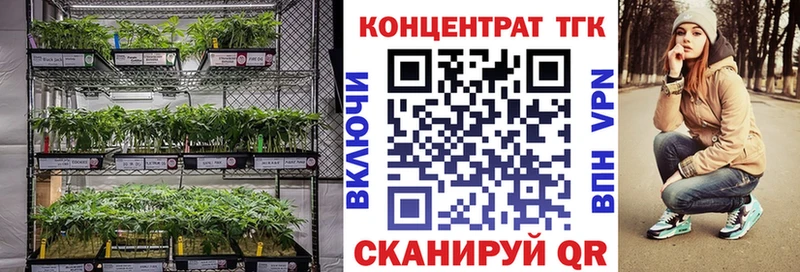 ТГК вейп с тгк  Салехард 